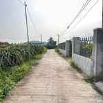 Bán lô đất cây trồng 839m2 mặt tiền bê tông Xã Hàm Liêm, Lâm Đồng - Ảnh thu nhỏ 1
