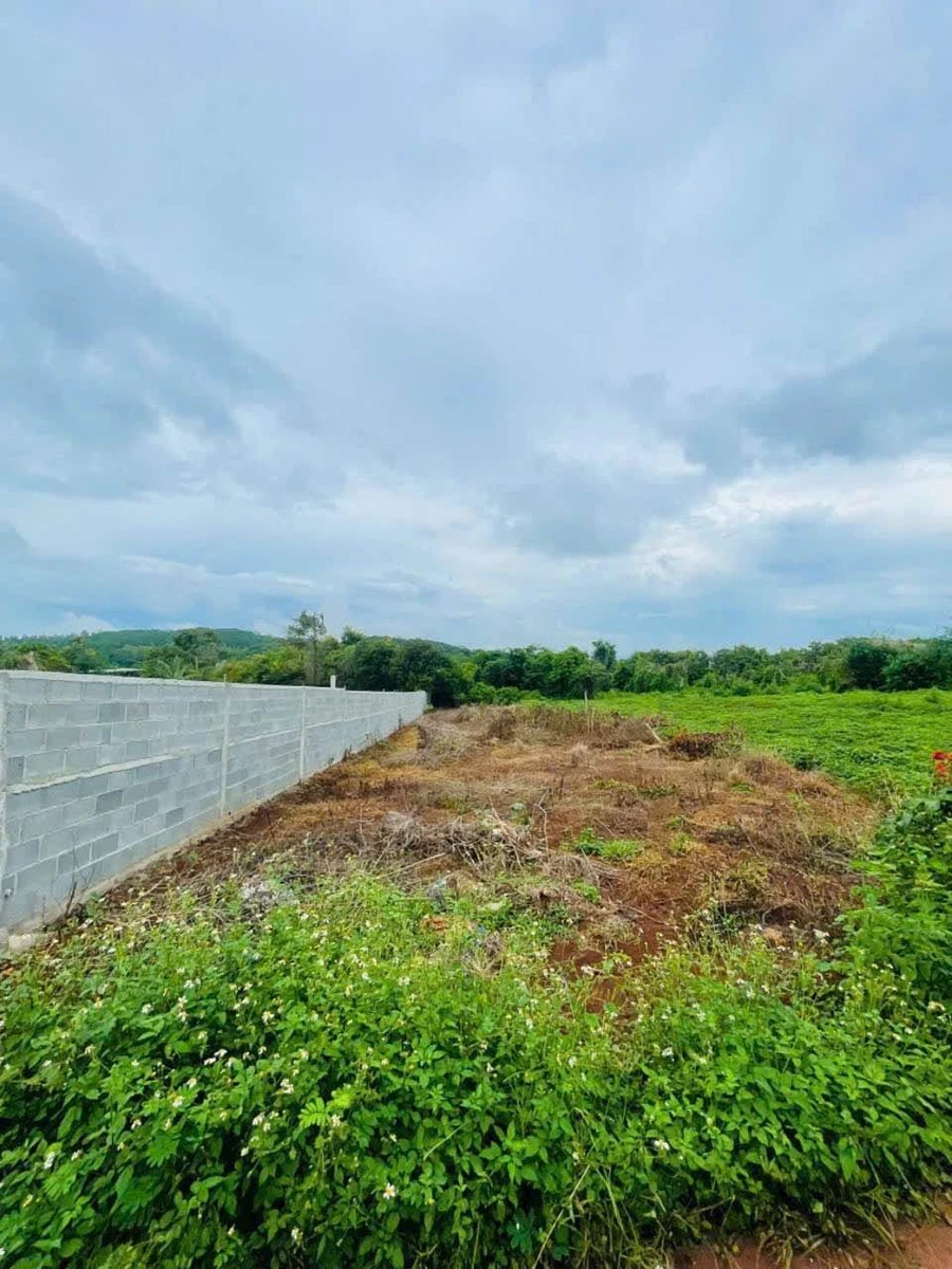 Bán đất 580m² hẻm Mai Thị Lựu, Quận 1, 1 tỷ 750 - Ảnh thu nhỏ 2