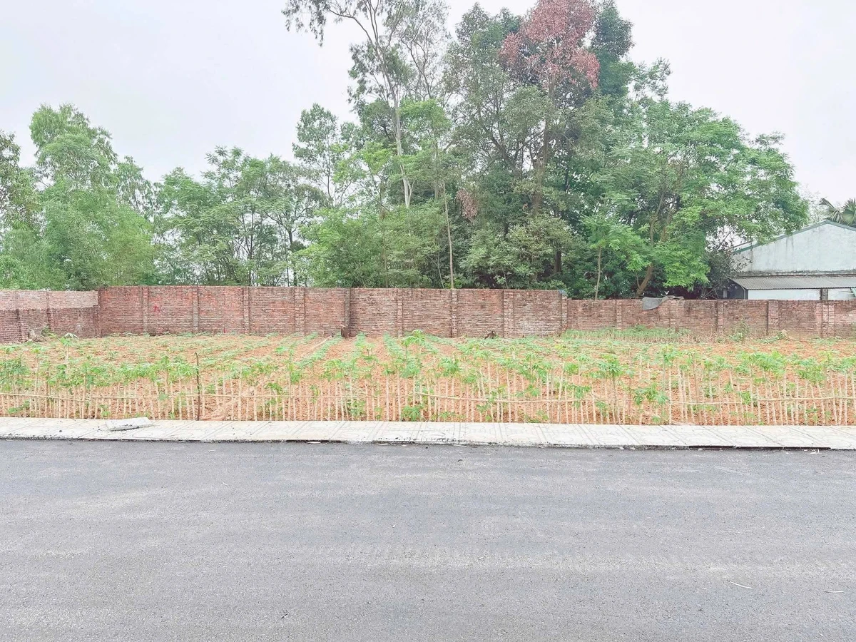 Bán đất 117m² giá 1 tỷ tại Khu 4 Thanh Đình, Hỵ Cương - Ảnh thu nhỏ 3