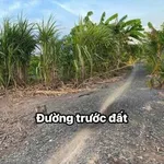 Bán đất vườn 1000m² Bình Đức Bến Lức Long An 590 triệu - Ảnh thu nhỏ 2