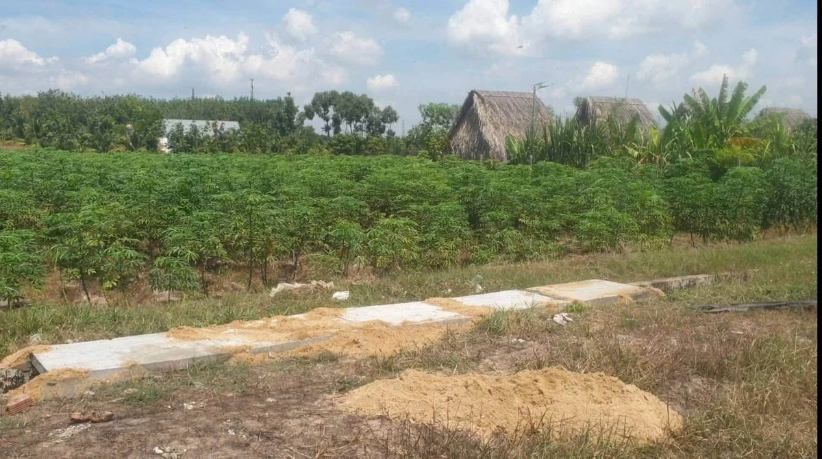 Bán đất 4500m² gần KCN Phước Đông, Bình Chánh - Ảnh thu nhỏ 3