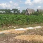 Bán đất 4500m² gần KCN Phước Đông, Bình Chánh - Ảnh thu nhỏ 3