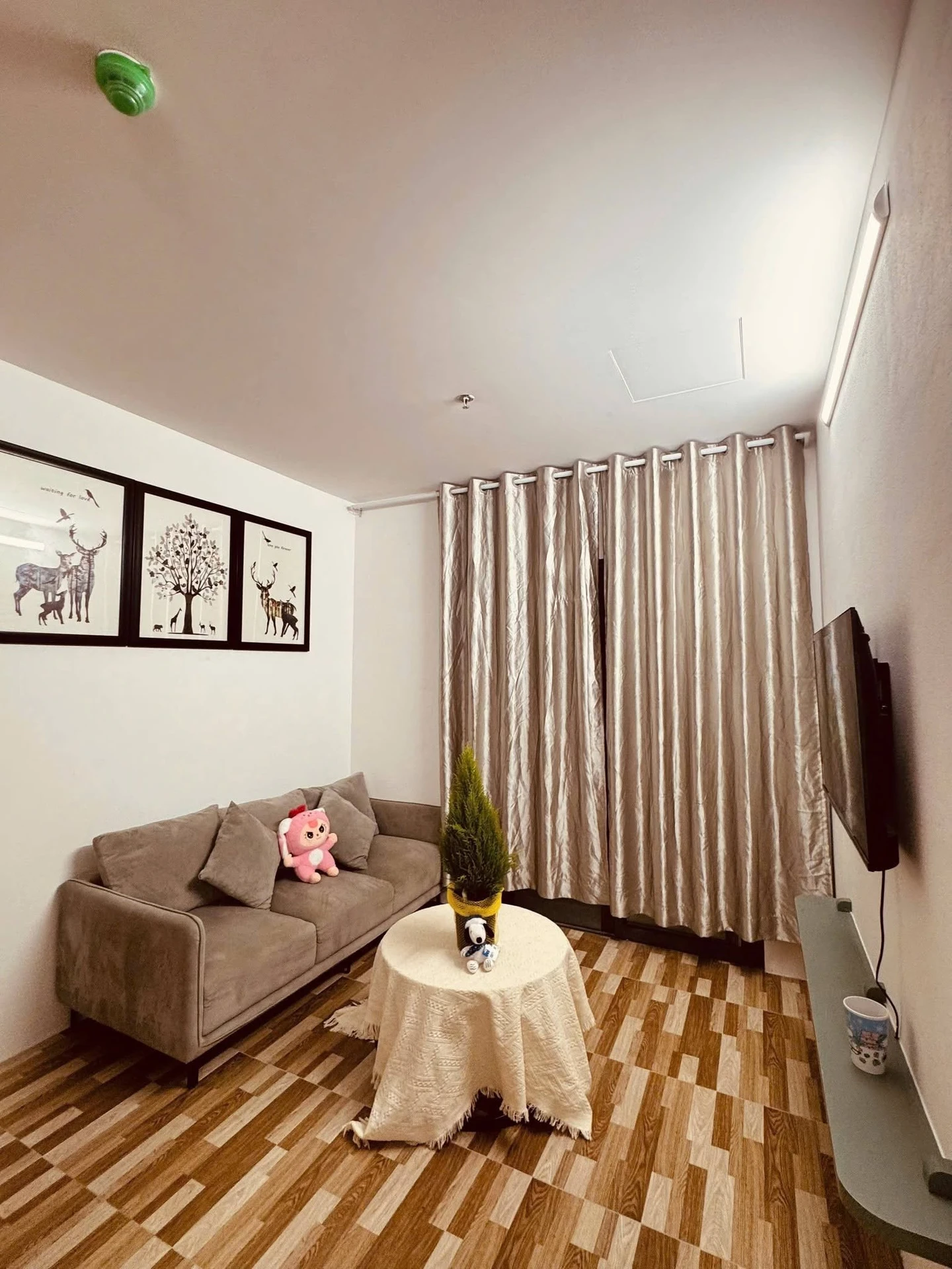 Cho thuê căn hộ Eco Garden 55m2, 2PN, 6 triệu/tháng - Ảnh 1