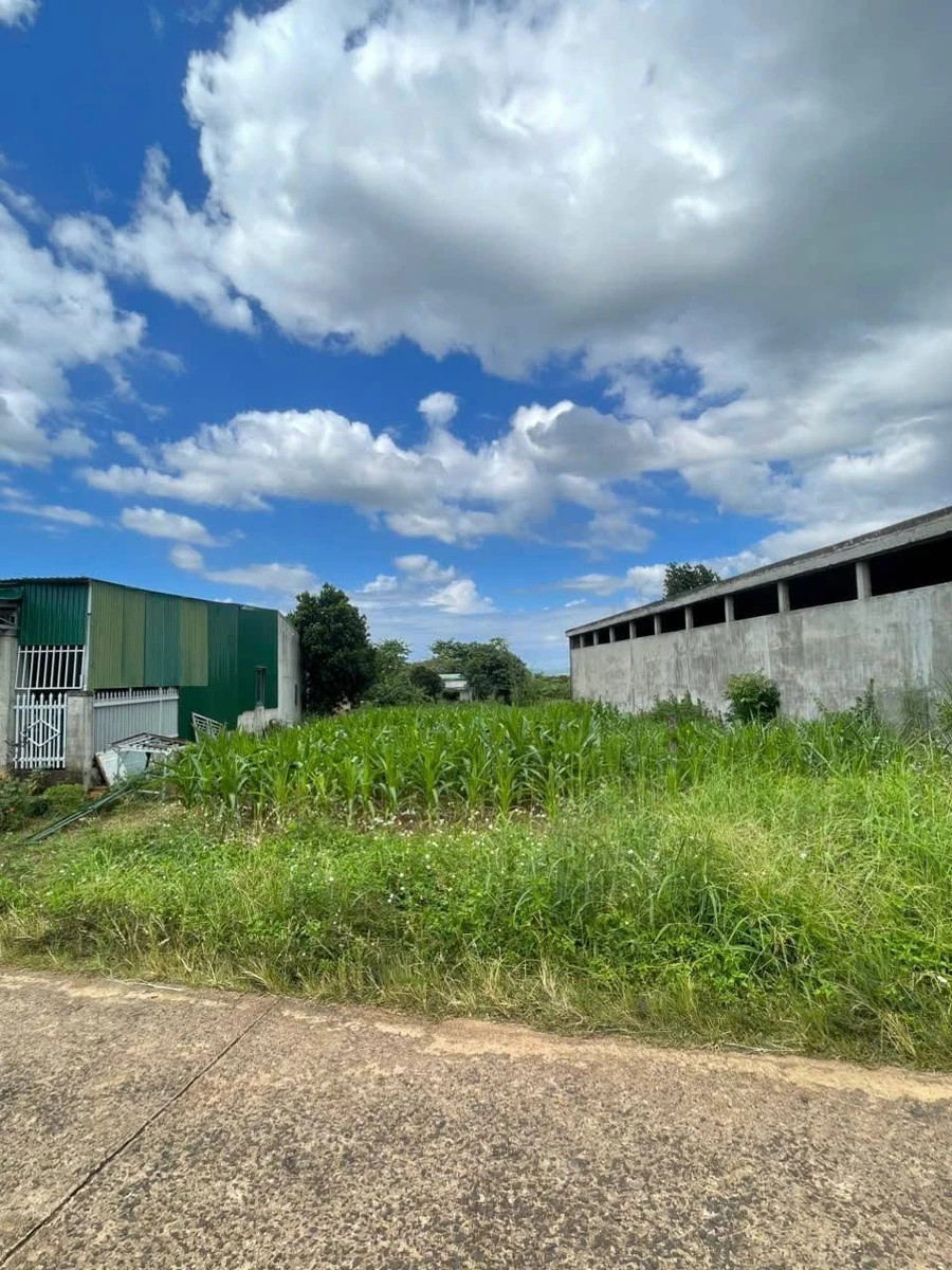 Bán đất 740m² Buôn Đôn Đắk Lắk giá 550 triệu - Ảnh thu nhỏ 2