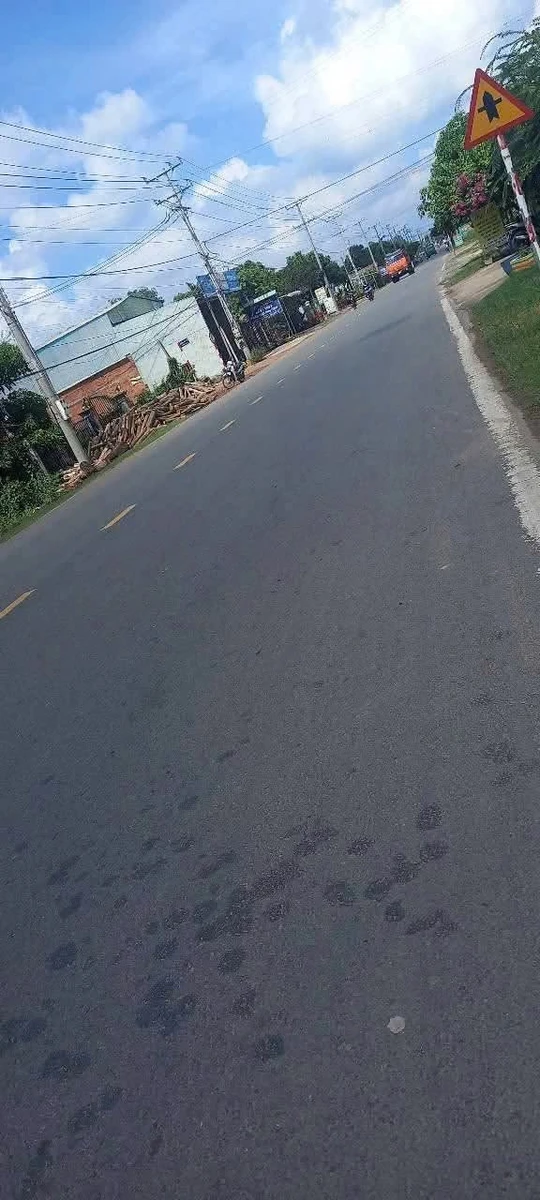 Bán đất 270m² tại Châu Thành, Tây Ninh 1 tỷ 270 - Ảnh thu nhỏ 4