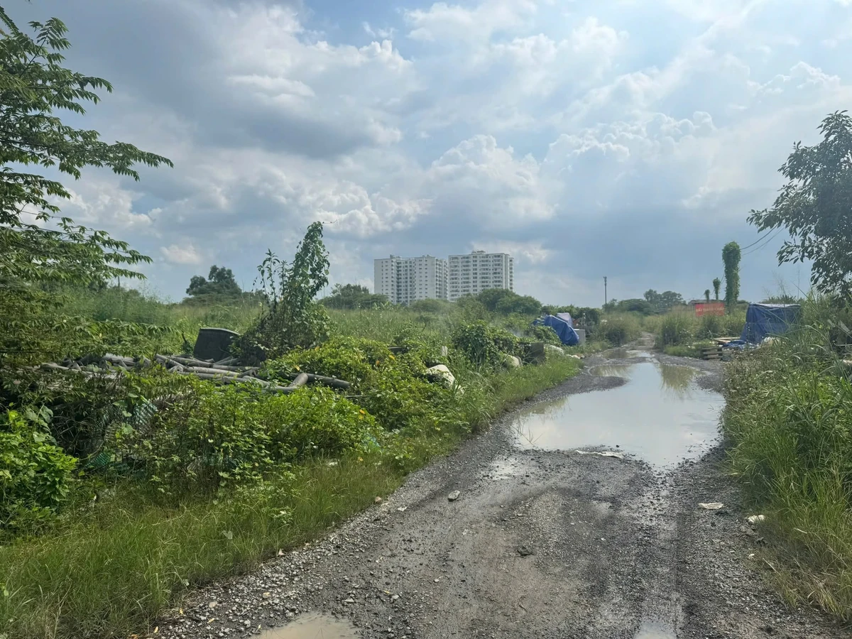 Bán đất thổ xây cao 9699m2 Tây Lân Bình Tân, 240 tỷ - Ảnh thu nhỏ 5