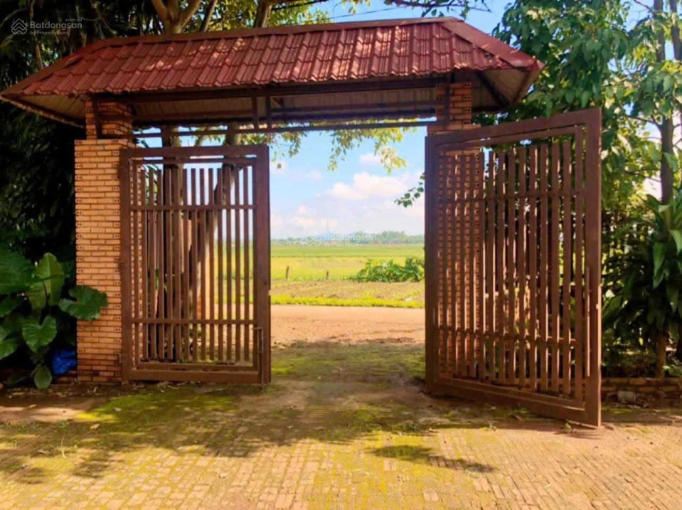 Cần bán nhanh nhà vườn giá tốt - Ảnh thu nhỏ 3