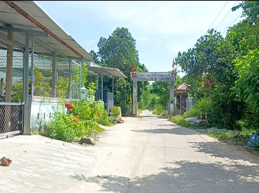 Bán đất Bình Thành 477m² mặt tiền 7m - Ảnh thu nhỏ 3