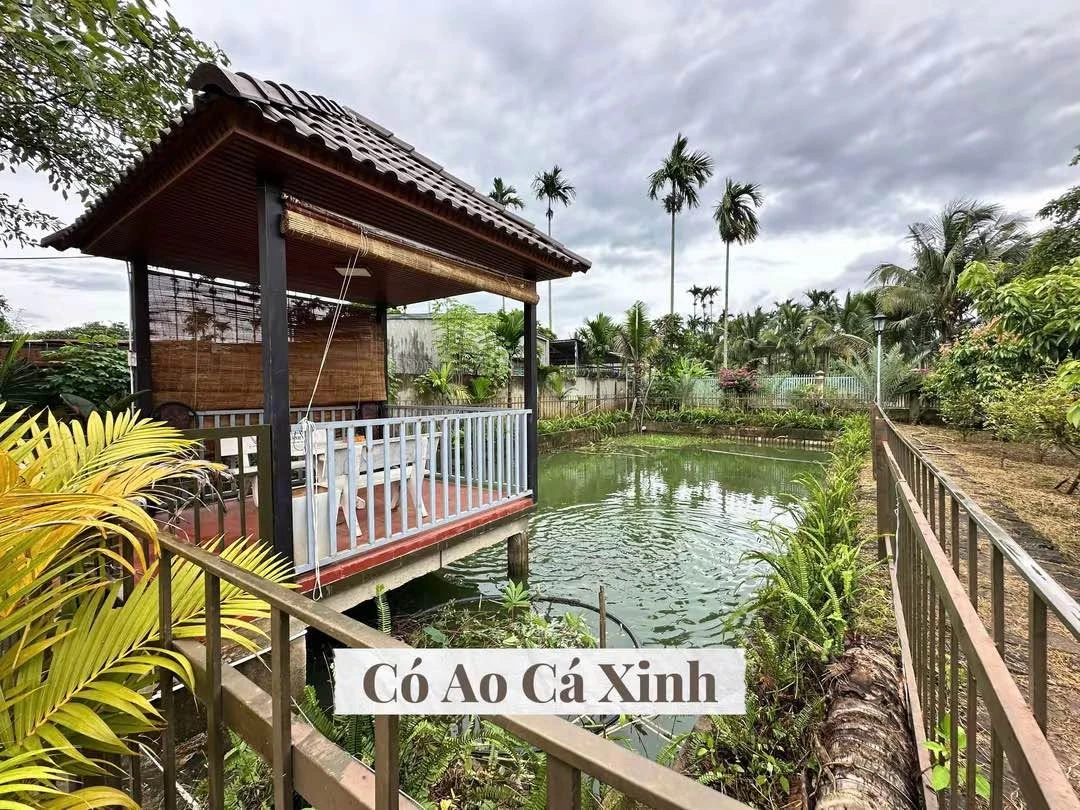 Bán nhà vườn hơn 1 sào 22x46m gần chợ Đạt Lý, Buôn Ma Thuột giá 3,9 tỷ - Ảnh thu nhỏ 3