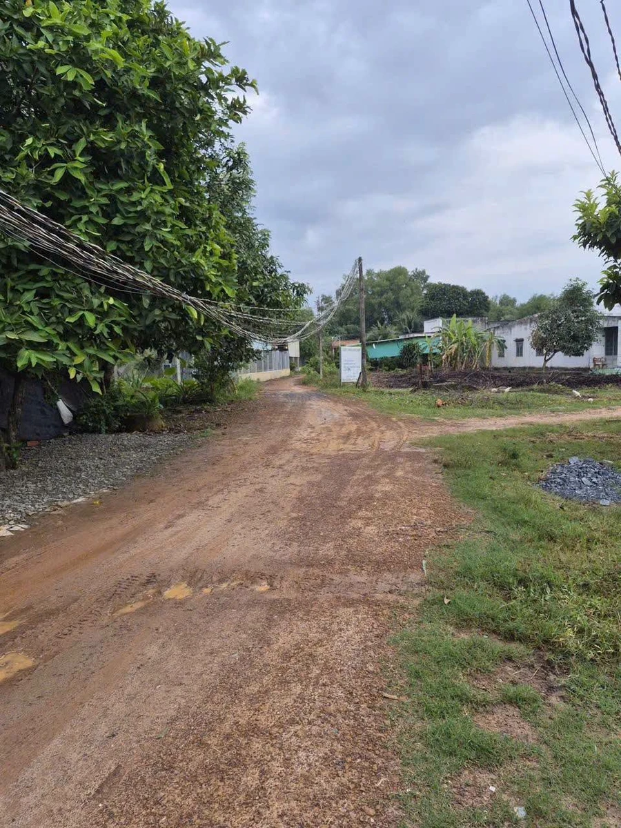 Bán nhà cấp 4 8x42 (336m²) Châu Thành, Tây Ninh 400 triệu - Ảnh thu nhỏ 2