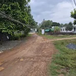 Bán nhà cấp 4 8x42 (336m²) Châu Thành, Tây Ninh 400 triệu - Ảnh thu nhỏ 2