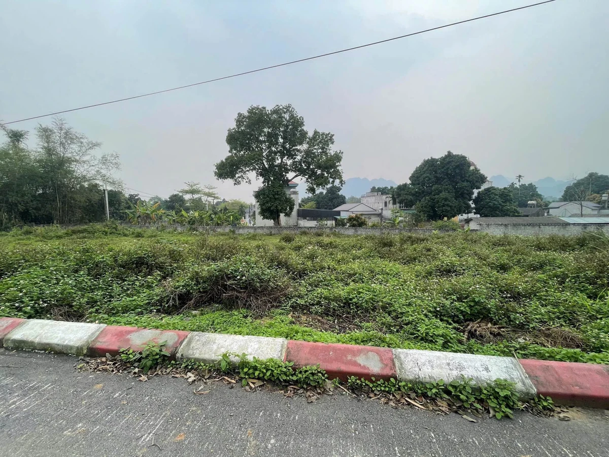 Bán đất 146m² (50m² thổ cư) Liên Sơn 9xx triệu - Ảnh thu nhỏ 2
