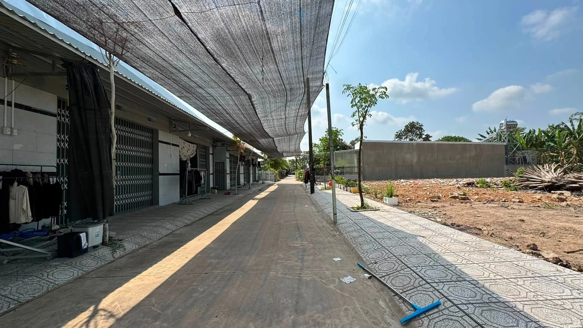 Bán lô đất 170m² full thổ cư Nhà Bè 1,3 tỷ - Ảnh thu nhỏ 3