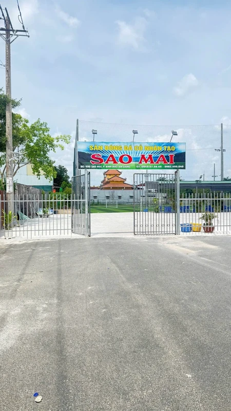 Bán nền đất Sao Mai Bình Khánh An Giang 100 m² - 1.7 tỷ