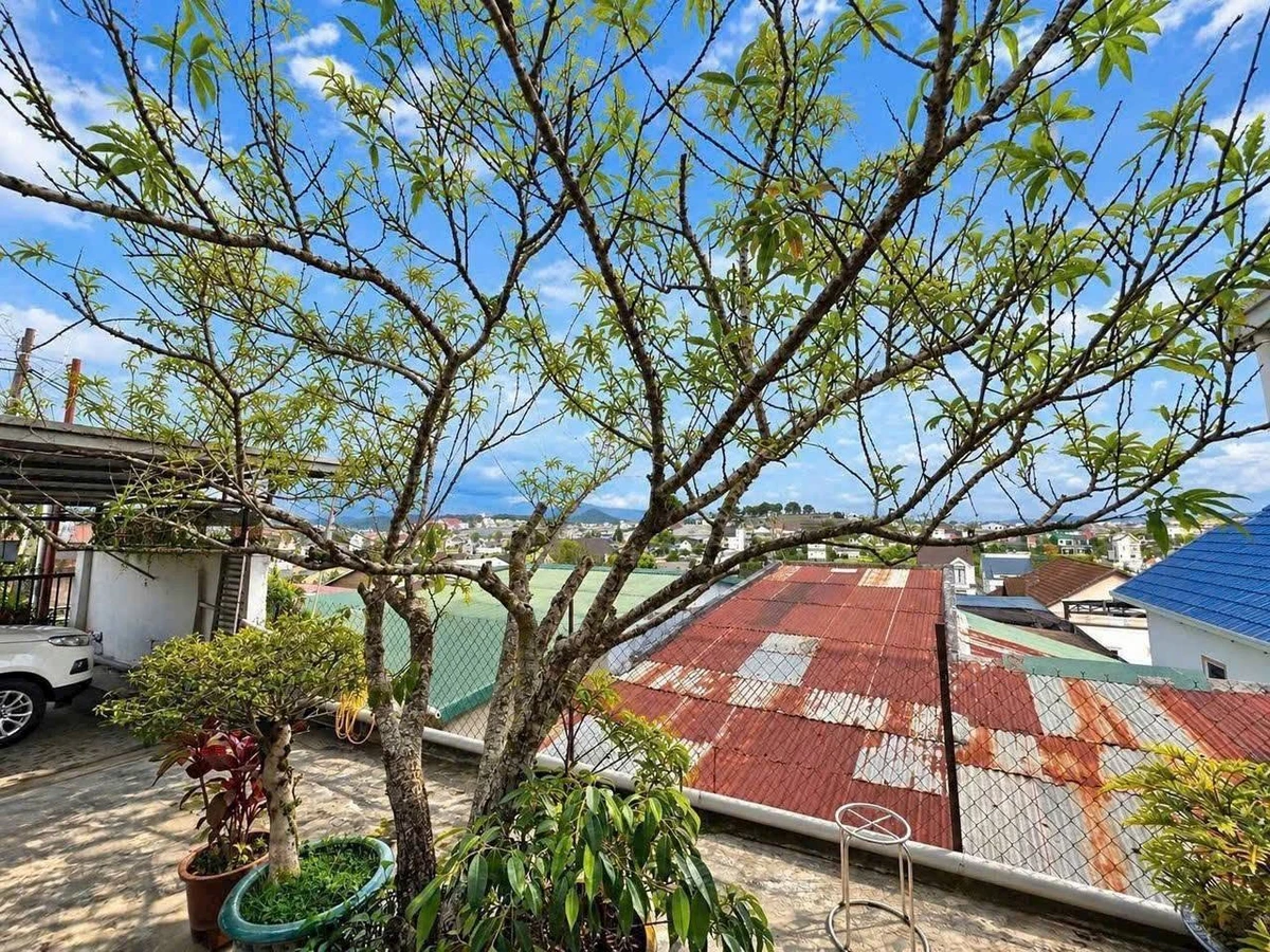Bán nhà Bạch Đằng Đà Lạt 213.9m² giá 7.5 tỷ - Ảnh thu nhỏ 3