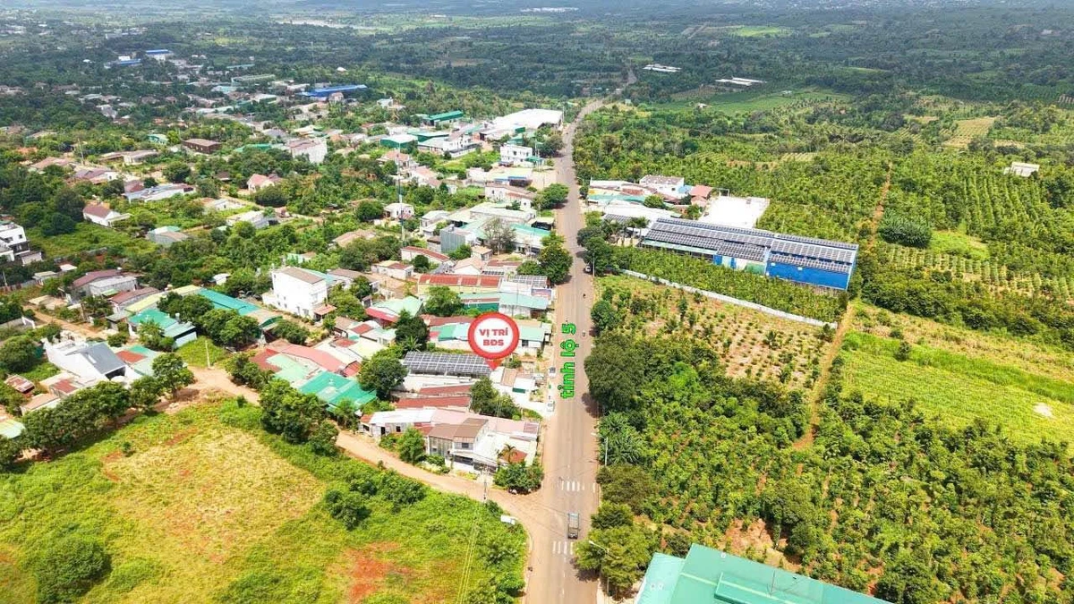 Bán nhà + kho mặt tiền Phạm Ngũ Lão 8x32m, 7,5 tỷ - Ảnh thu nhỏ 5