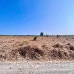 Bán đất biển Tiến Thành 2000m² sổ hồng riêng, view cánh quạt gió - Ảnh thu nhỏ 4