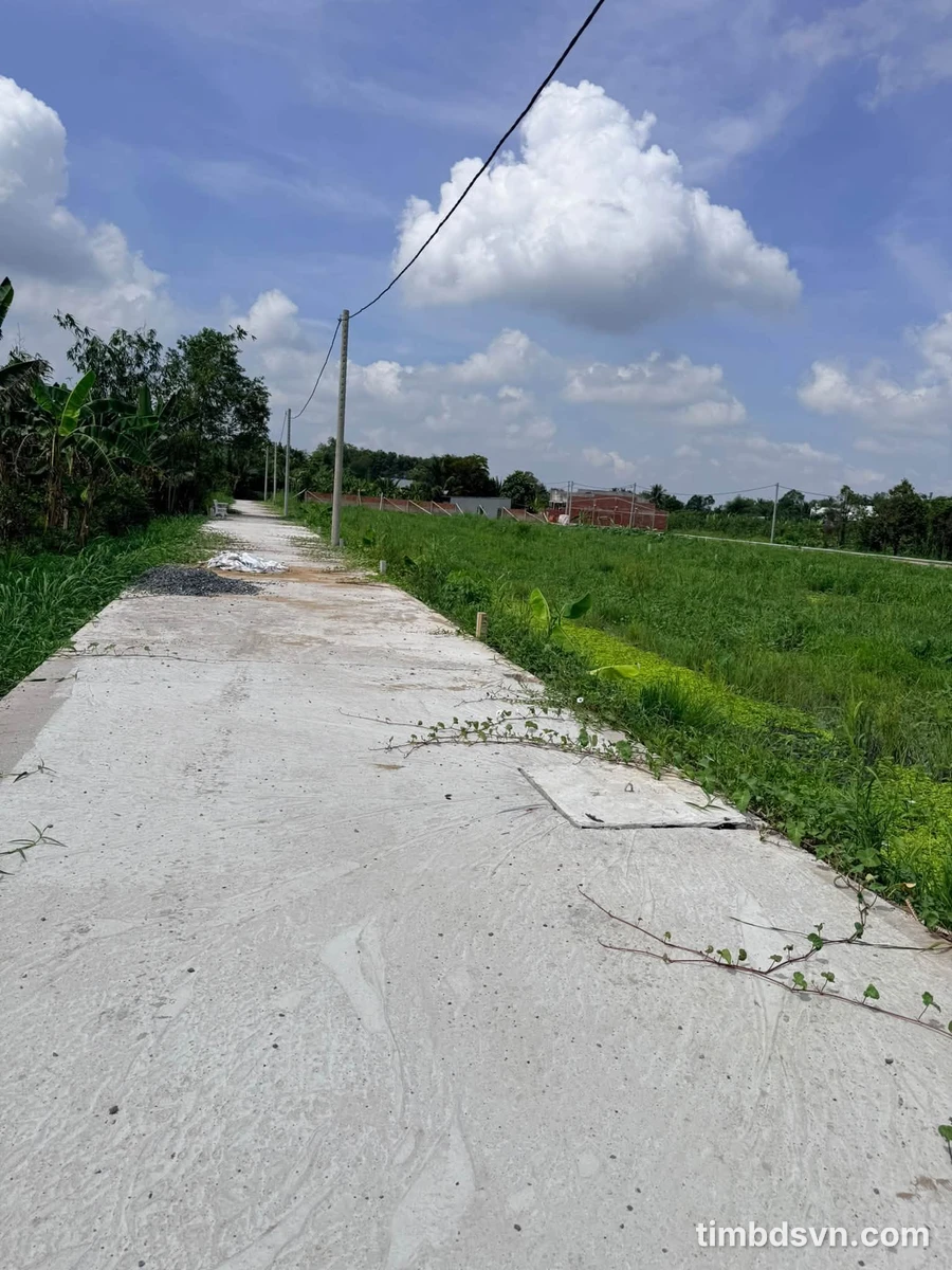 Bán 5 nền đất Rạch Ông Dựa 150m² Nhà Bè - Ảnh thu nhỏ 4