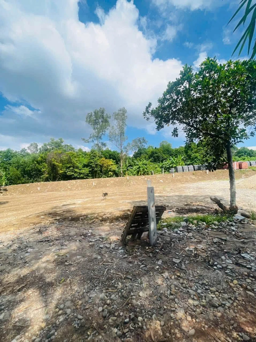 Bán đất Quận 7, 100m2, ngang 6m, 1 tỷ 4 triệu - Ảnh thu nhỏ 2