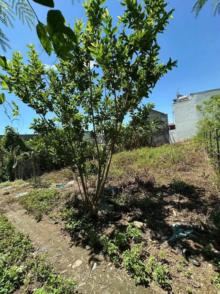 Bán đất dân cư 201m² Nha Trang, 2,2 tỷ - Ảnh thu nhỏ 2