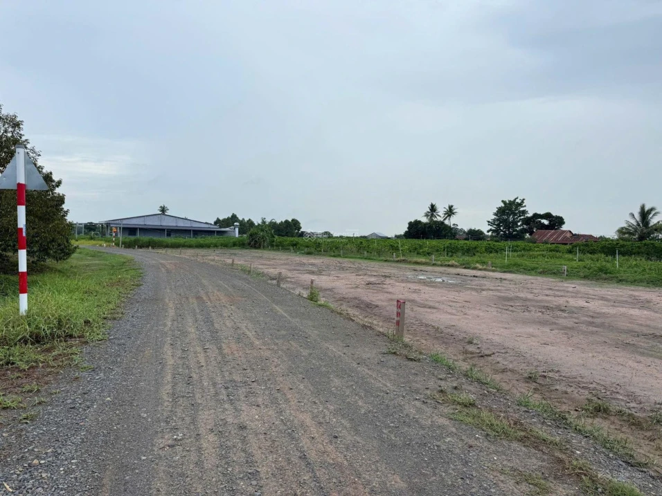Bán đất view Núi Bà Đen - Dương Minh Châu, 199 triệu, 93m2, sổ sẵn - Ảnh thu nhỏ 3
