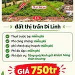 Bán đất 110m2 tại thị trấn Di Linh, Khánh Hòa - Ảnh thu nhỏ 1