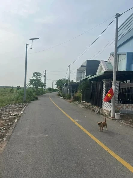 Bán lô đất mặt tiền 168m² Long Điền 1 tỷ 200 - Ảnh thu nhỏ 2