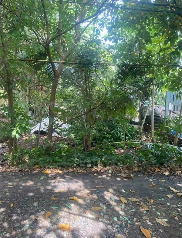 Bán đất nền 175m² Đức Hòa Long An 450 triệu