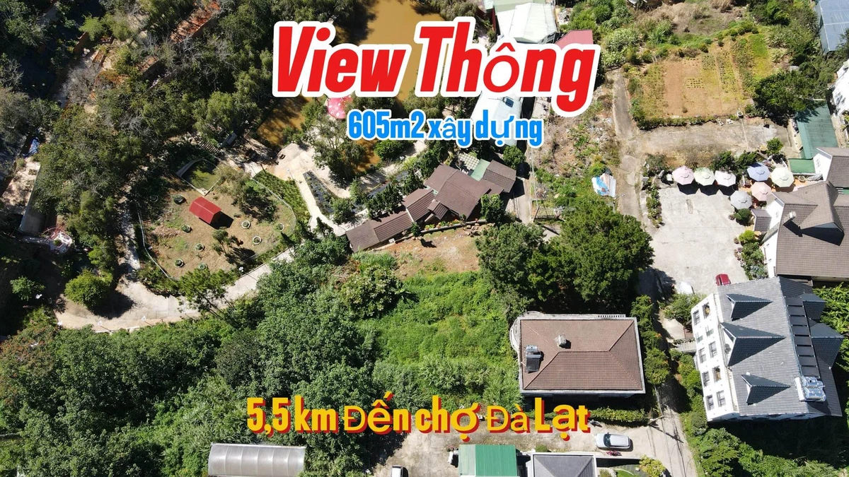 Bán đất Hùng Vương Đà Lạt 605m² view rừng thông - Ảnh 1