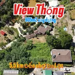 Bán đất Hùng Vương Đà Lạt 605m² view rừng thông - Ảnh thu nhỏ 1