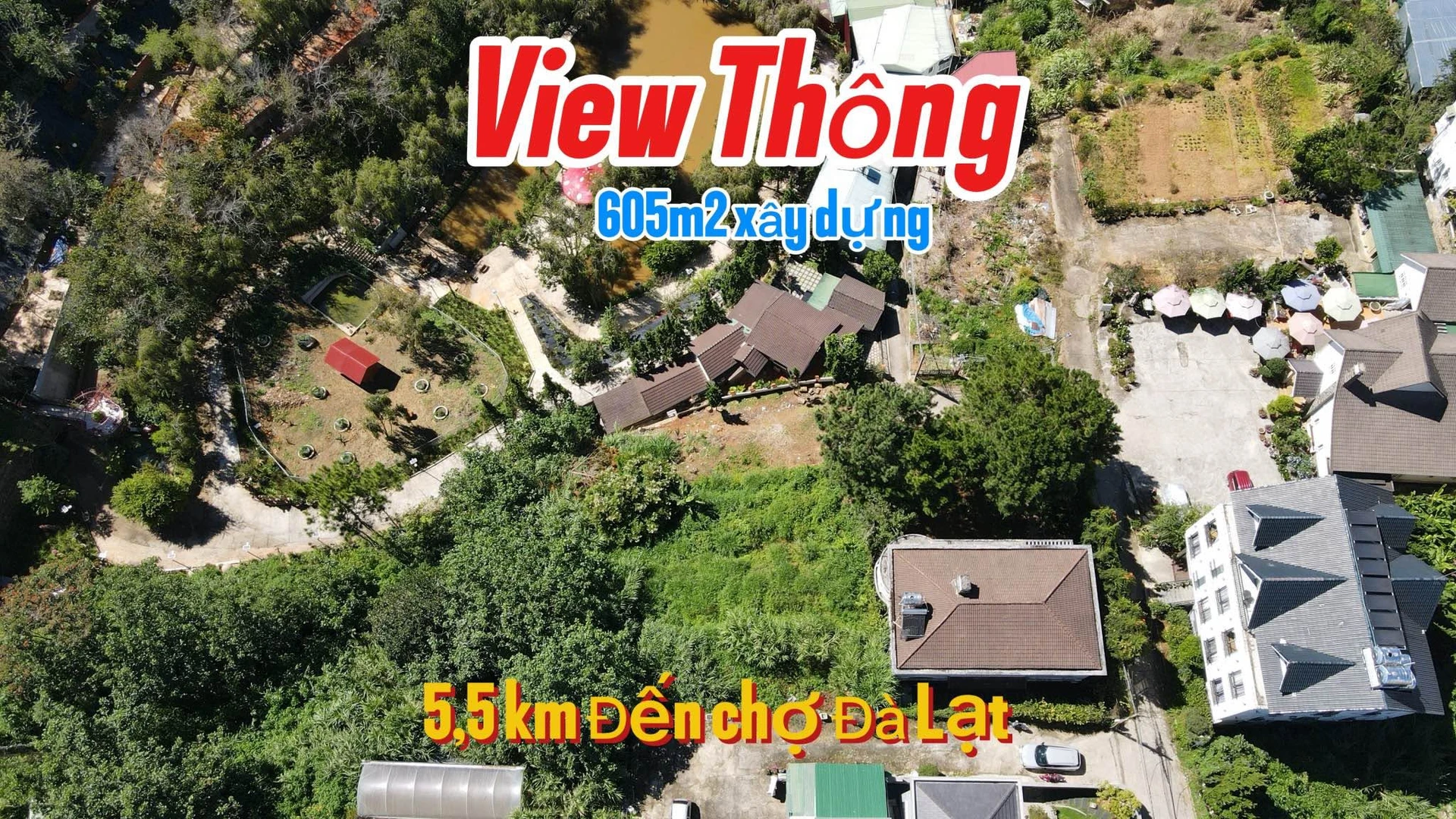 Bán đất Hùng Vương Đà Lạt 605m² view rừng thông - Ảnh 1