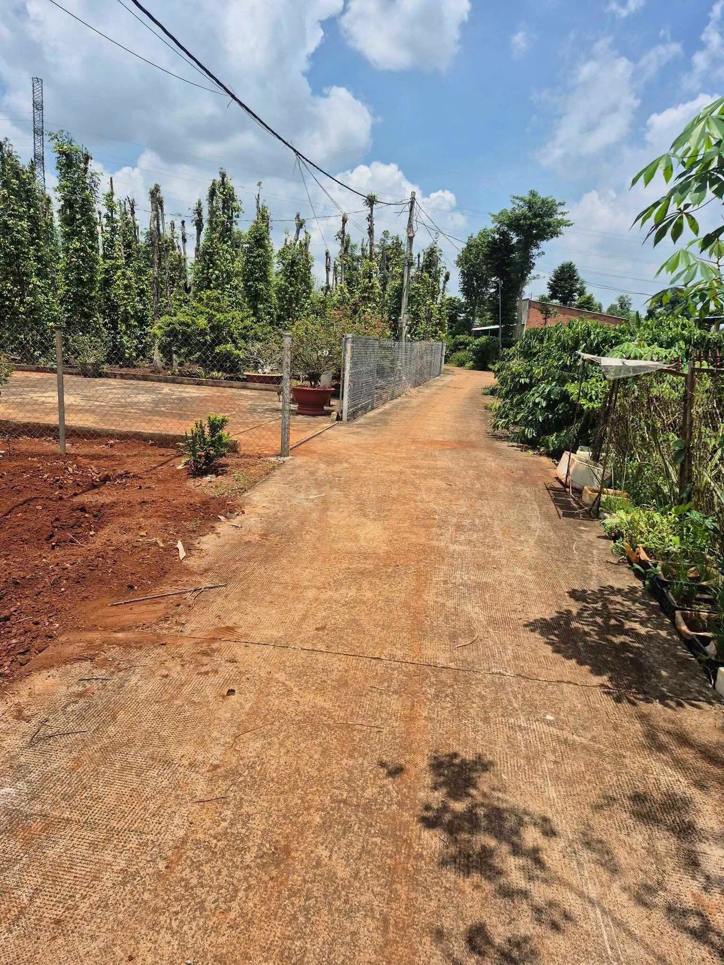 Bán đất nền 160m² Châu Đức Nhà Bè 440 triệu - Ảnh 1