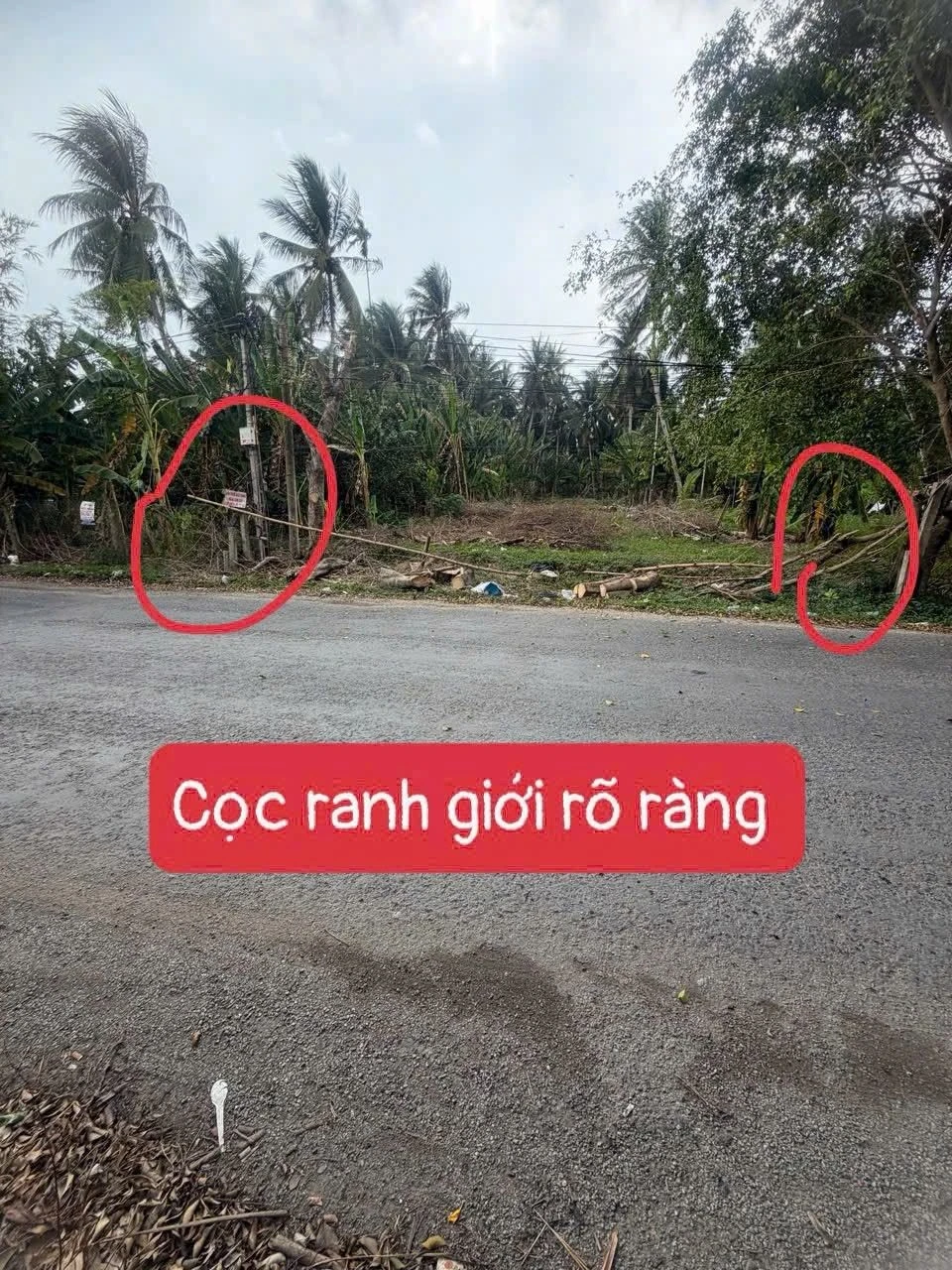 Bán đất mặt tiền 674m2 Phường Bến Tre, Nhà Bè - Ảnh 1