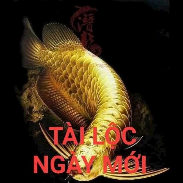 Bán nhà có gác lửng 52m2 hẻm 907 Bình Giã, Phường Rạch Dừa, Vũng Tàu