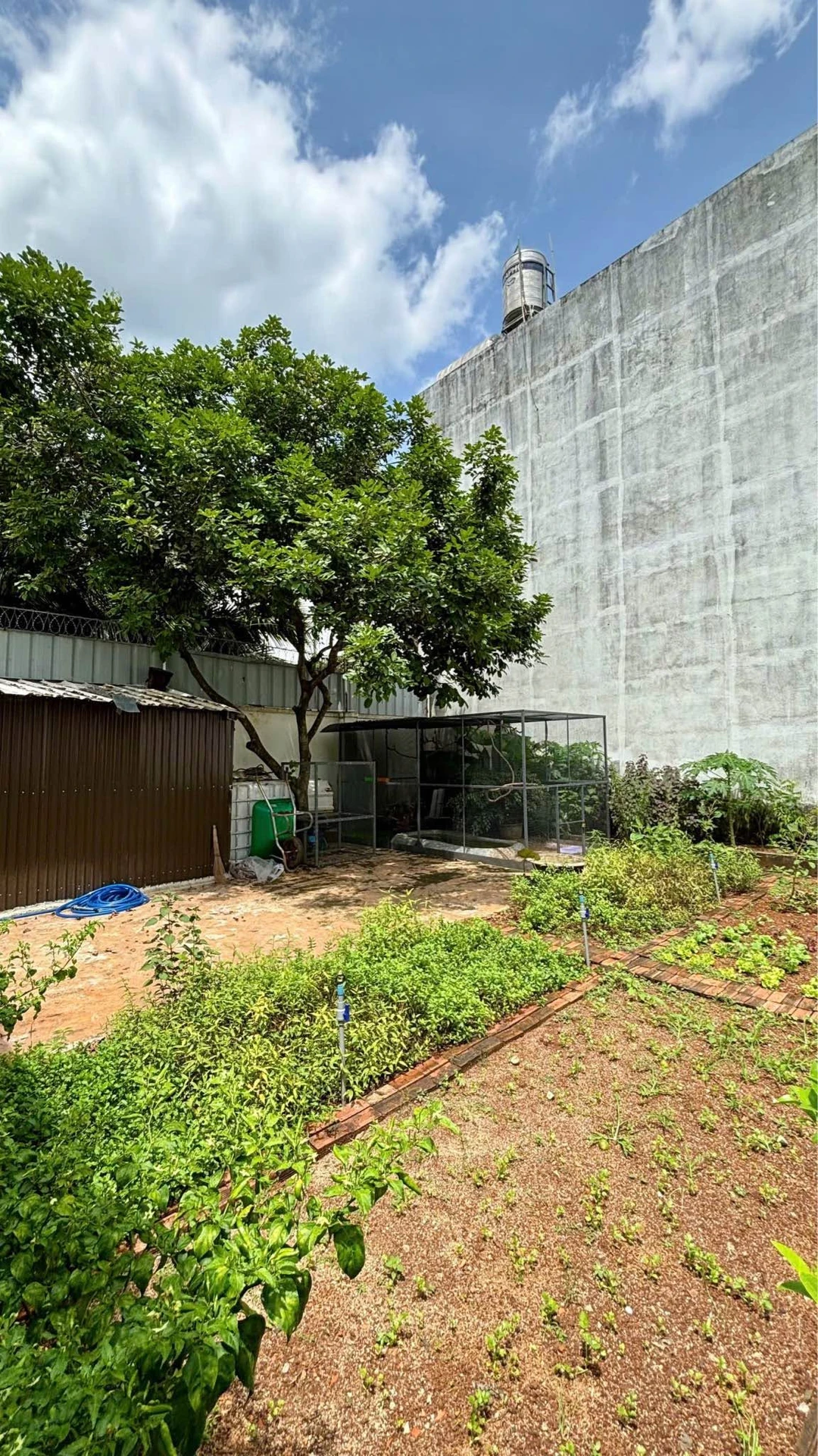 Nhà vườn bán 4 PN, 200m2 thổ cư, Buôn Ma Thuột, 5tỷ5 - Ảnh 1