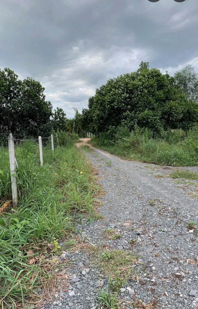 Bán lô đất Phường Phú An 3000 m² - Ảnh thu nhỏ 4