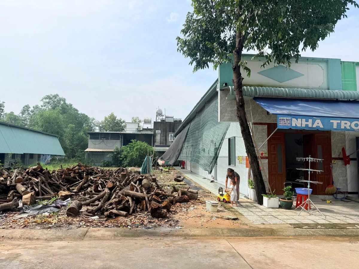 Bán lô đất 150m² Phường Thới Hoà, Bình Chánh - Ảnh 1