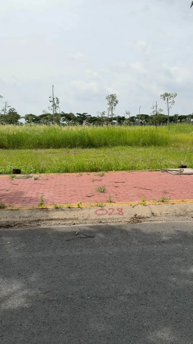 Bán lô đất 100m2 Thủ Thừa Long An 1 tỷ 6 - Ảnh thu nhỏ 2