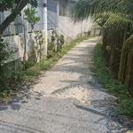 Bán đất nền 125m² Tam Hiệp, Châu Thành, Tiền Giang - Ảnh thu nhỏ 5