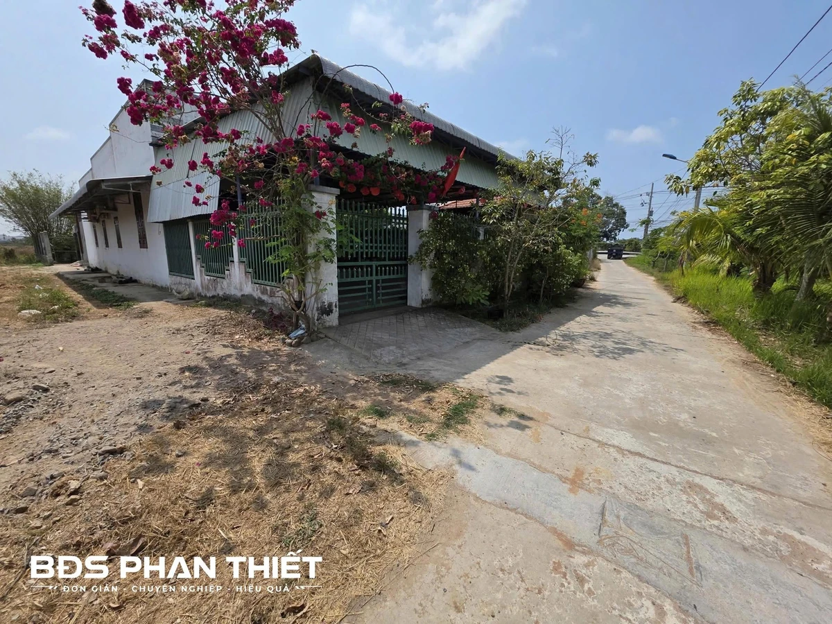 Bán đất mặt tiền 335 m² gần KCN Phan Thiết, Bình Thuận - Ảnh thu nhỏ 3