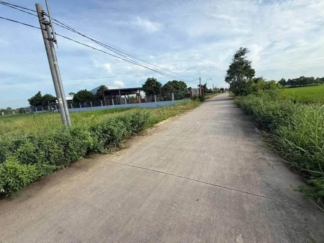 Bán đất nền 5x35m, 175m² mặt tiền Cần Dước - Ảnh thu nhỏ 2