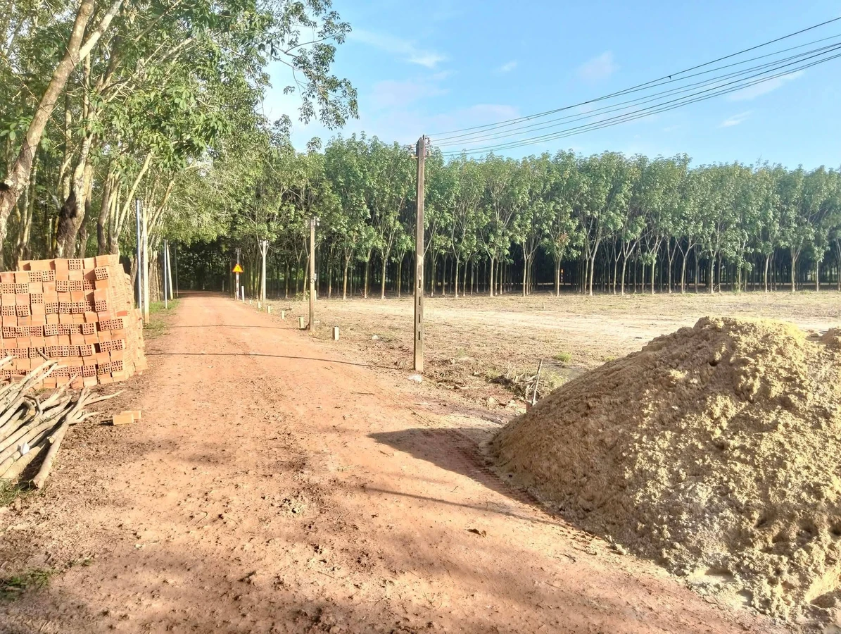 Bán đất thổ cư 5x92m giá 250 triệu tại Châu Thành, Tây Ninh - Ảnh thu nhỏ 3