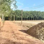 Bán đất thổ cư 5x92m giá 250 triệu tại Châu Thành, Tây Ninh - Ảnh thu nhỏ 3