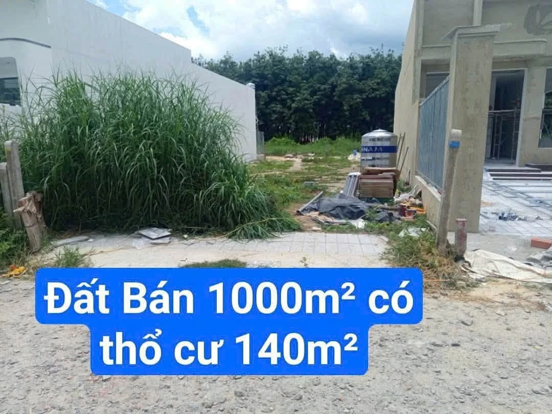 Bán 1000m² đất Dương Minh Châu Tây Ninh - Ảnh thu nhỏ 2