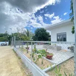 Bán nhà vườn Diên Lộc 294m2, 1 tỷ 250 triệu - Ảnh thu nhỏ 2