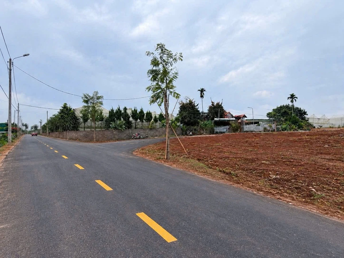 Bán đất Tân Hà Bình Dương 100m², 650 triệu - Ảnh 1