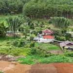 Bán đất 1000m2 sổ riêng Tà Nung 2,7 tỷ view đẹp - Ảnh thu nhỏ 3