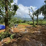 Bán đất nghỉ dưỡng 622m² Hợp Phong Hòa Bình giá 599 triệu - Ảnh thu nhỏ 3