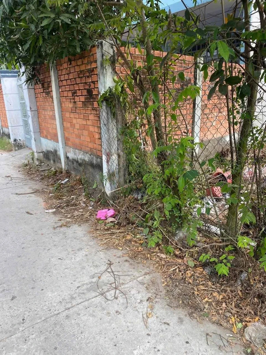 Bán đất hẻm ô tô Châu Thị Kim 182,1 m² Tân An Long An - Ảnh 1
