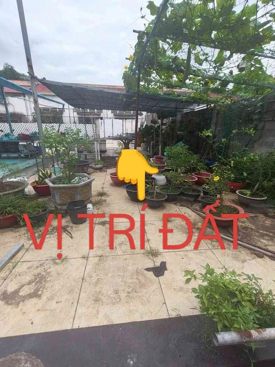 Bán đất full thổ cư Linh Trung 92m² giá 6,5 tỷ - Ảnh 1
